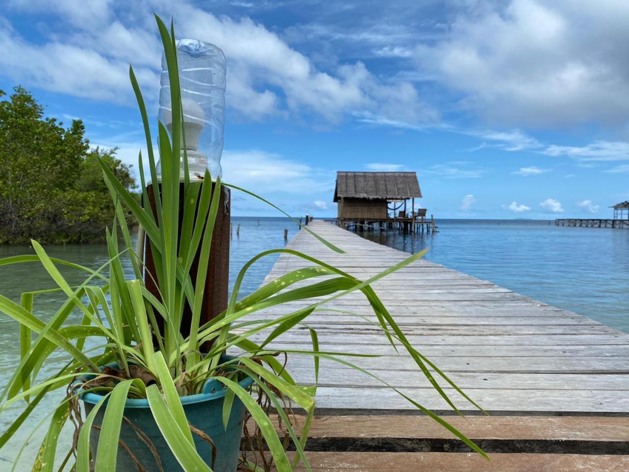 Indos Homestay-raja Ampat