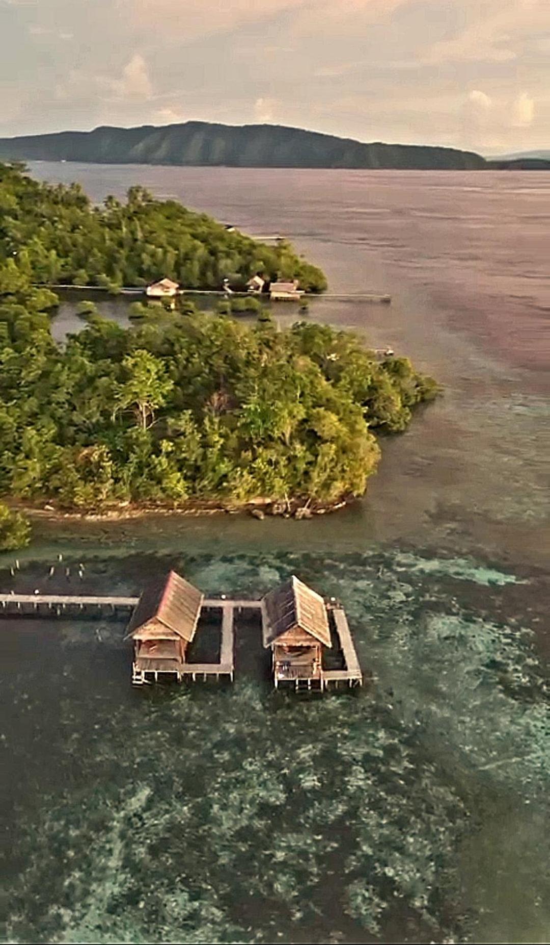 Indos Homestay-raja Ampat Holiday home