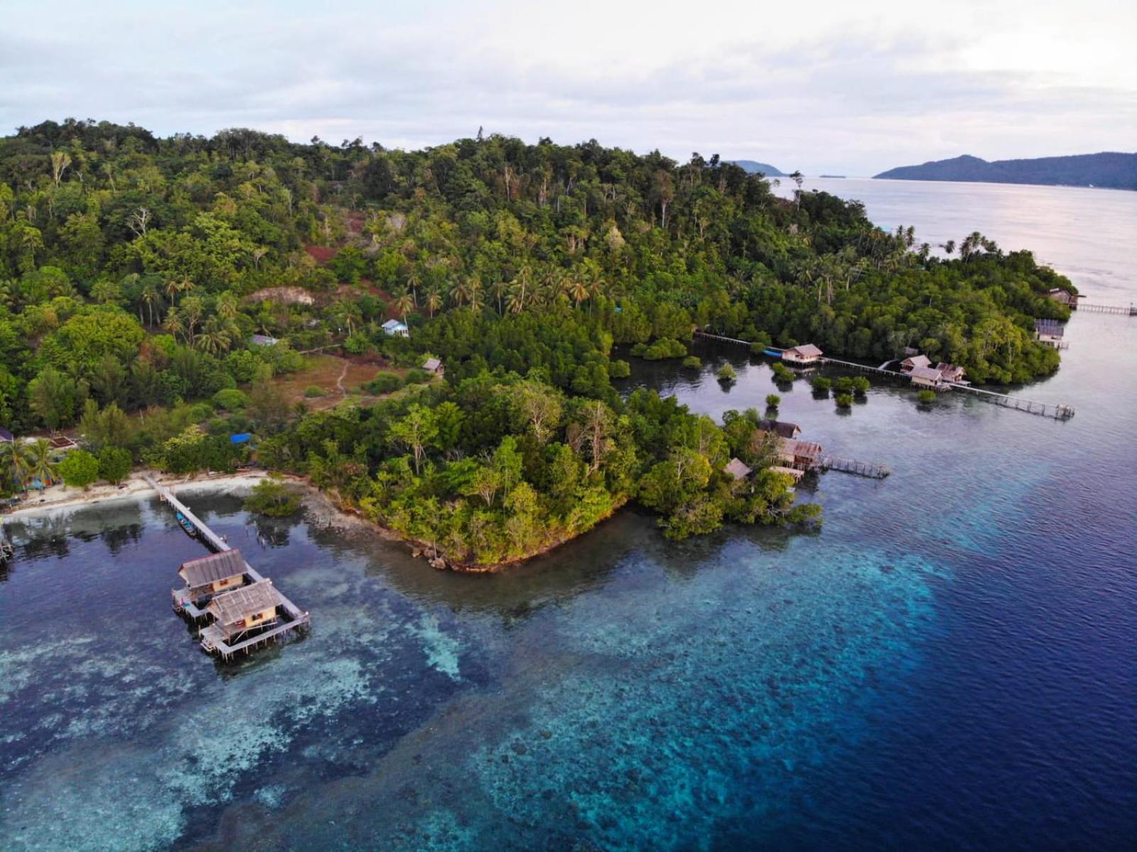 Indos Homestay-raja Ampat * Besir