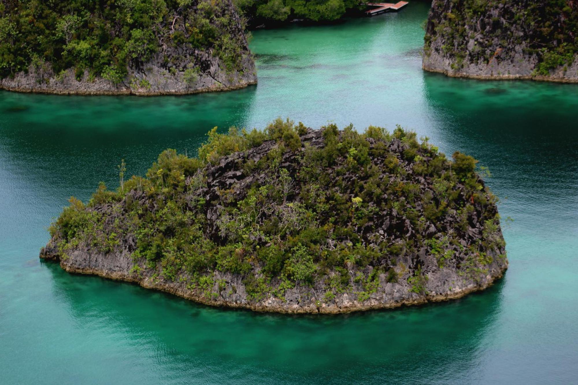 Indos Homestay-raja Ampat Holiday home